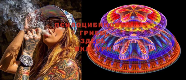 ГАЛЛЮЦИНОГЕННЫЕ ГРИБЫ Краснослободск