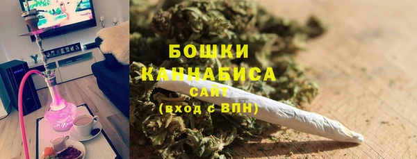 ГАЛЛЮЦИНОГЕННЫЕ ГРИБЫ Краснослободск